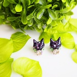◇ミストグリーン◇黒猫とスワロビジューのピアス/イヤリング
