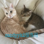 candyyk2様専用