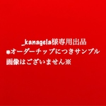 _kanagela様専用出品
