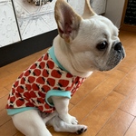 フレブル服ハンドメイド