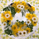 ♡new♡ 送料無料！¥2080 ♡たっぷり押し花セット♡