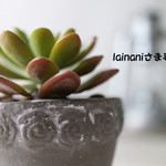 lainaniさま専用