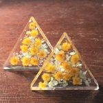 2個ミモザ 閉じ込め△クリアカボション