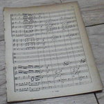Note de musique(melody)