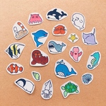 海のいきもの♡アルバムクラフト