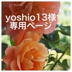 yoshio13 様 専用ページ