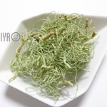 カーリーモス グリーン 10g