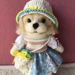シーズーちゃん再販(y様 再販商品)