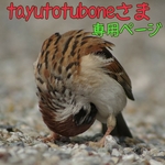 ♥️tayutotuboneさま  ご予約品♥️