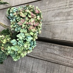 Buquet de quicoule様専用サイト