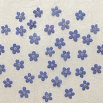 押し花103 忘れな草