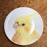 皿
