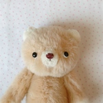 niimico. teddy Nate