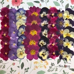 ♡new♡作家様必見♡ ♡お買い得な押し花セット♡