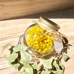 Round  Bottle L 【Mimosa】受注製作