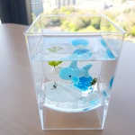 ~復活~ジンベエザメちゃん　人工水♡まるで本物