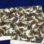 ランチマット   恐竜 柄