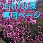 tkrt1120様専用ページ