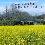 mayu-rei様専用 上靴入れ ラミネート
