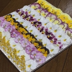 hanaemiさまのご注文作品です。