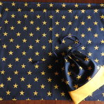 大判ランチョンマット＆巾着☆キイロボシ