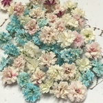 小粒 かすみ草 ドライフラワー  pastel sweet 