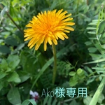 order maid専用ページ    ネームホルダー
