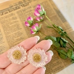 シンジツ（ フラワーカボション の イヤリング ピアス ）