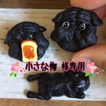 ☆小さな梅    様専用出品☆