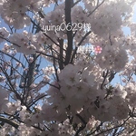 yuina0629様専用🌸