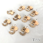10個　セレブスタイルカラフルチャームセット　５番　約15mm×18mm　T227-0