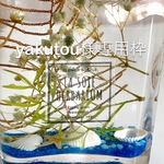 yakutou様の専用枠