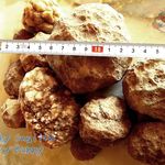 📜 オータムセール開催中♪ ⚒️ 5Kg ケンタッキー州産 水晶ジオード 異種晶洞 標本 原石 標本 コレクション用