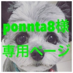 ponnta8様専用ページ