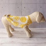 犬服 大きなオレンジタンクトップ