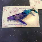 まだら柄のザトウクジラ