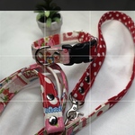 ourplanet197様専用 　苺ボーダー赤ドット