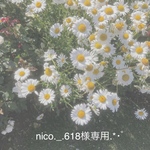 nico._.618様専用ページ.*･ﾟ