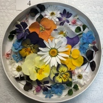 🌸ドライフラワー 花材4 ビオラ春セット🌸