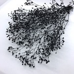 ソフトミニカスミ草  黒ラメ 約3g  プリザーブドフラワー 大地農園 かすみ草 カスミソウ カスミ草