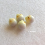 ころりんオカメのピアス／イヤリング（すごく薄いグレー）（インコ/ライトグレー/小鳥/鳥/小ぶり/シンプル）