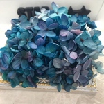 珍色ブルーブルーバイカラー紫陽花小分け❣️ハーバリウム花材プリザーブドフラワー
