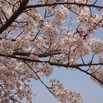 tcgtmpkdy様専用