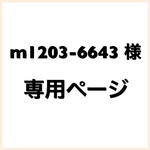専用ページ