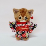 着物を着た茶トラさん