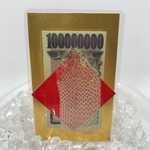 白蛇の頭抜け殻＆馬のたてがみ＆帯封 お守り②