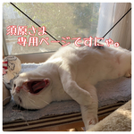 須原さま専用ページ