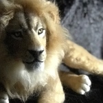 百獣の王