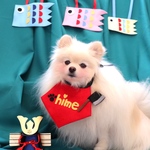 腹かけあぶちゃん❤️お名前入り