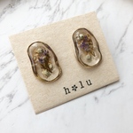 ✿ドライフラワー 閉じ込めピアス /イヤリング かすみ草